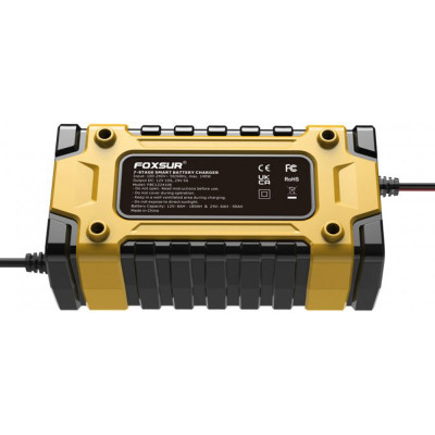 FOXSUR (12V/10A-24V/5A) FBC122410E - імпульсний зарядний пристрій, десульфатор