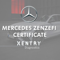 Сертификат ZenZefi для Mercedes Openshell