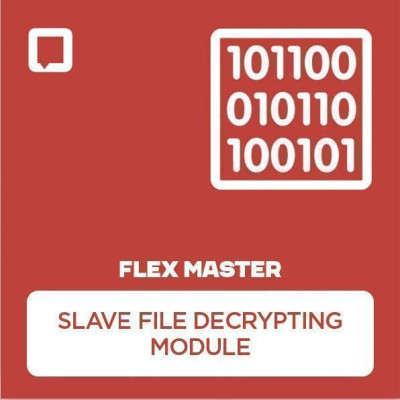 Модуль розшифровки SLAVE файлів для Magicmotorsport FLEX Master